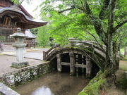 �L������񂳂�̔n�����Ȍ��_�Ђ̓��e�ʐ^2