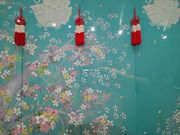 ܂񂳂̉ԉł̂ق̓eʐ^3