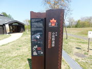 AB̏q̐XEǂ񂮂̉Ƃ̓eʐ^1