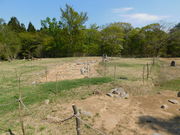 AB̏q̐XEǂ񂮂̉Ƃ̓eʐ^2