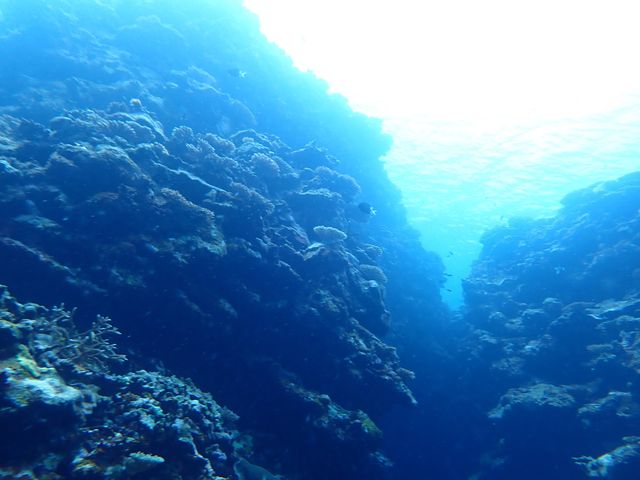 �V���m�[�P���Ō�����i�F_�ɂ�����̂����ȐΊ_��