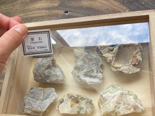 ^OƃP[XŁAS҂łzW{Ă܂LB_Rό