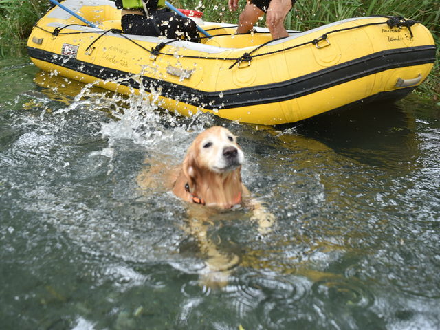 �����_�t���I_��񂾂��@�������@�l�C�`���[�����N���G�[�V�����Y