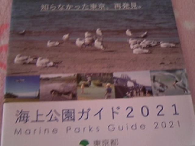 �����K�C�h�}�b�v_������