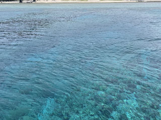 �c�Ǌԃu���[�I_�W���C�N���G�C�g���� �e�B�[�_