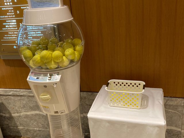 �z�e���O�������B�A���R_�z�e���O�������B�A���R