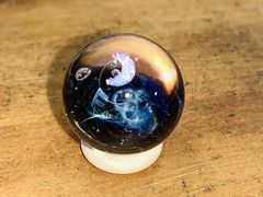 ܂낳̃C{[jIA[gX^WIւ̓eʐ^1