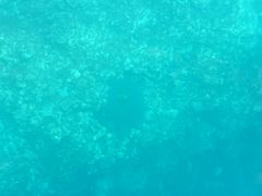 䂫̐약}T[rXւ̓eʐ^1