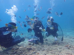 񂳂̐̓A@Dive@ւ̓eʐ^1