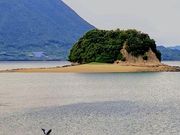 낲ς񂾂̊ÍՂ̓eʐ^1