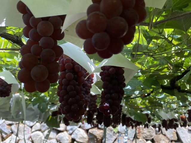 ��R�̃f���E�F�A�B�H�׍��̐������킩��₷���Ă����ł��B_��ԉ�