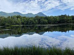 ALV̊Вmc[Xgւ̓eʐ^1