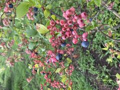 harrỷu[x[t@[ւ̓eʐ^1