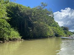 �Ȃ���[����񂳂�̃J���b�N �C�[�Y�ւ̓��e�ʐ^1