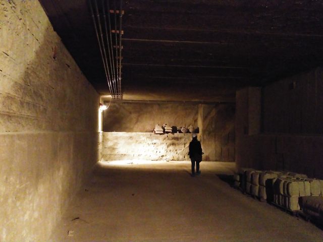 �����̉f��̃����V�[���݂����ł��B_�����΍̐Ώ�