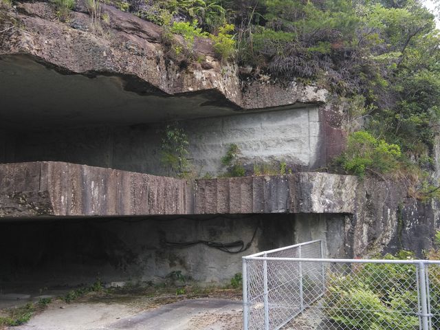 OӖ|pIB
̔wɂ͐iB_΍̐Ώ