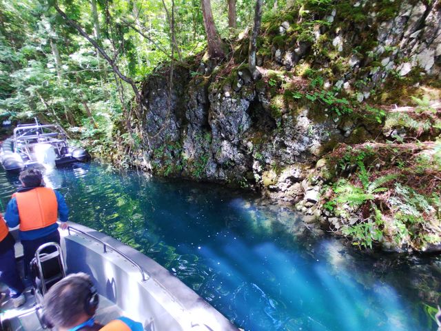 ���I_�\�a�c�΃p���[�X�|�b�g�N���[�Y