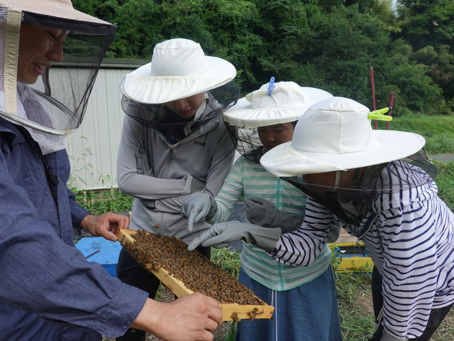 ԍŏɏo`t̂͂[ꂾHI_berich{I