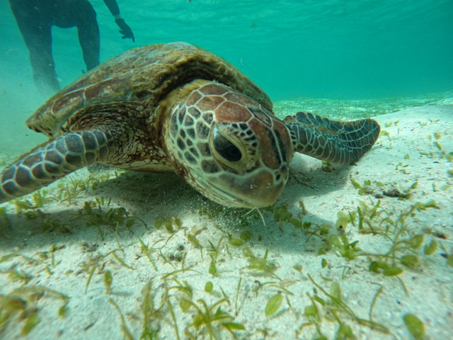 �C����H�ׂĂ�E�~�K�������I_BIGHOLIDAY-TRIP