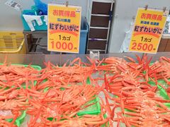 oJ̋̎sʂւ̓eʐ^1