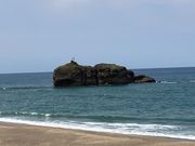 �E�b�L�[����̔��e�C������̓��e�ʐ^1