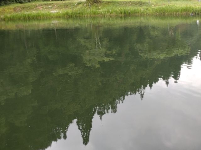 �L���r�ł���
_��ˍ��R�ޒr�@����