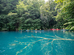 susumũBgJ̓]ւ̓eʐ^1