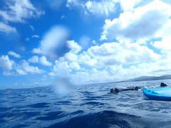 Ђ܂肳Nature Guide Double Rainbow lC`[KCh@_uC{[ւ̓eʐ^1