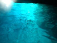 Ђ܂肳Nature Guide Double Rainbow lC`[KCh@_uC{[ւ̓eʐ^4