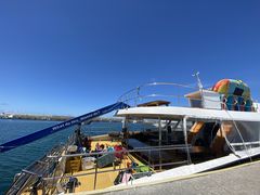 BEAŘcǊ(P})C攼cA[X@OPGւ̓eʐ^1