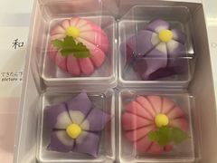 񂿂񂳂̉zRÐւ̓eʐ^1