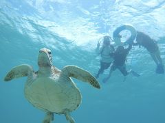 Ђ낳CHURA{Óւ̓eʐ^1