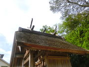 ���܂�����̉����Ђ̓��e�ʐ^1