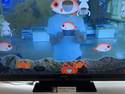 Ƃ񂳂̍WIp[NƊC̕ق̓eʐ^5