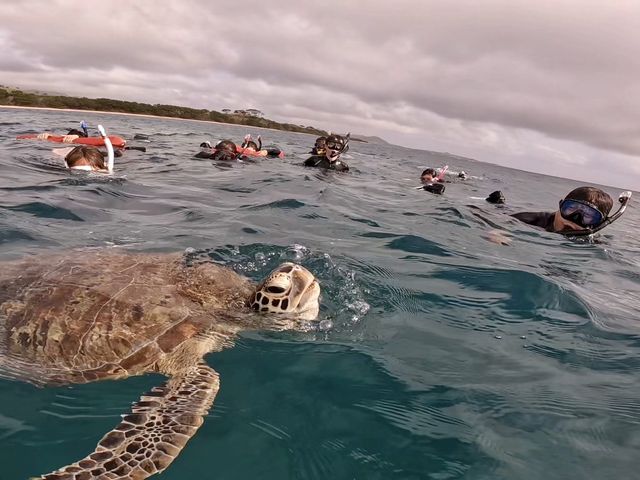 �Ղ����Ƒ��p���ɊC�ʂɏo�Ă��Ă���܂���_SHISHI�Ί_��