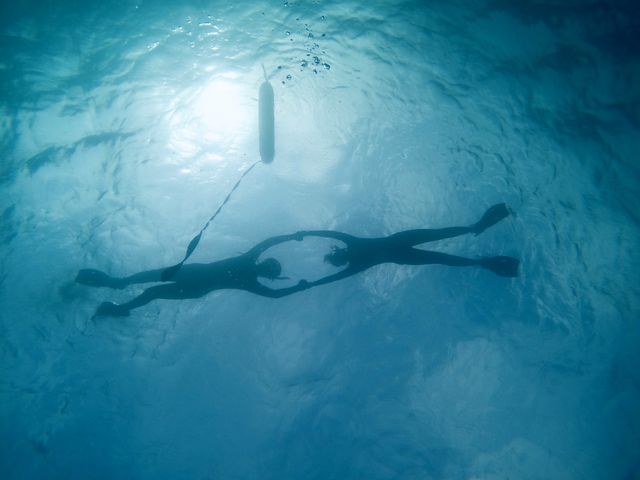 �f�G�Ȏʐ^����������B���Ă��������܂���_SHISHI�Ί_��