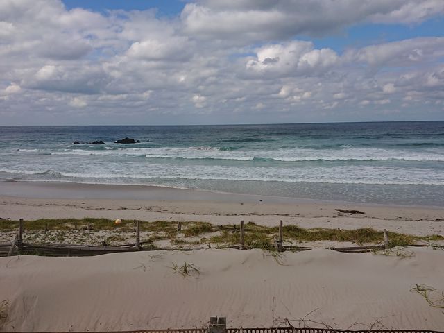 ���������̗��p��