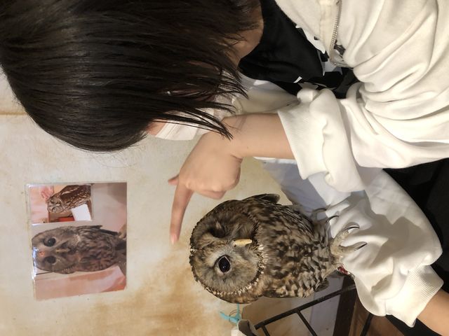 �Ȃ����ʐ^���������ɂȂ肷�݂܂���B�������股�����B�{���ɉ��炵���āA�����ƌ��Ă��܂��B_�ӂ��낤�̂���J�t�F�V�_