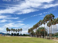 ^sIĴ̓iv쓇jւ̓eʐ^2