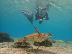 ݂̈ɗǕ}KCh}nւ̓eʐ^1