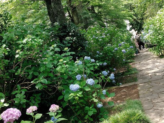 �܂����z�Ԃ��܂�����_������