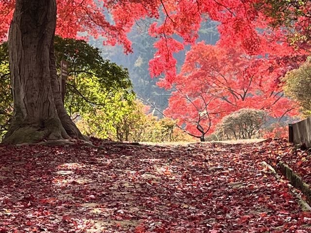 �g�t�̉��ɂ͍g�t���O�~��_�ԂƗ��j�̋��@�ւ̕@