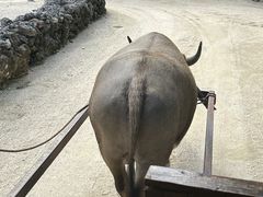 ݂䂫̃}T[rXA|Ί_ւ̓eʐ^1