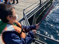 海上釣り堀太公望の口コミ一覧 じゃらんnet