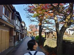 tH[X̋όl͎ Q-܂-ւ̓eʐ^1