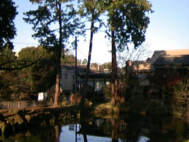 �w�O�̒r�H_JR�k���q�w