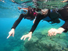 ̃}T[rXނʁ[ւ̓eʐ^1