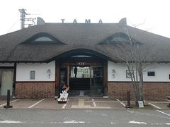 \t񂳂̋Muwi܃~[WA jւ̓eʐ^1