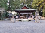 ˂񂳂̎yT{ V{_Ђ̓eʐ^4