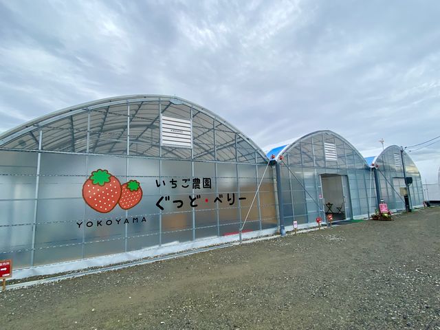 �����C���^�[���炷���ł����B_�������_�������ǁE�ׂ�[